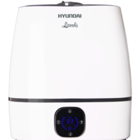Hyundai Lizardis H-HU3E-6.0-UI047