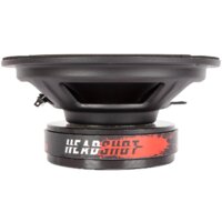 KICX Headshot DM80 Image #3