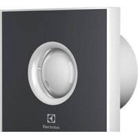Electrolux Rainbow EAFR-120 (темно-серый)