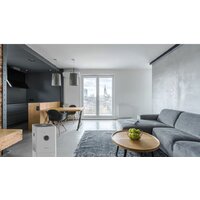 Boneco Air-O-Swiss H300 Image #6