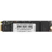 AMD Radeon R5 256GB R5M256G8
