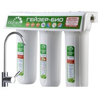 Гейзер БИО 321 Image #2