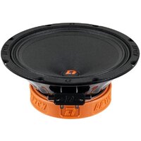 DL Audio Raven 200 v2