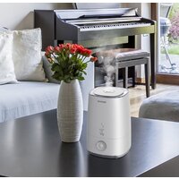 Hyundai Tulip H-HU8M-4.0-UI184 Image #2