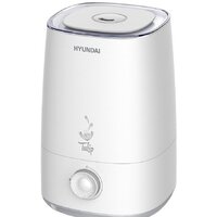 Hyundai Tulip H-HU8M-4.0-UI184