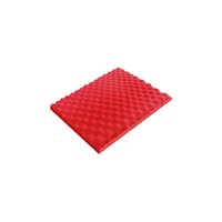 StP Biplast RED Image #2